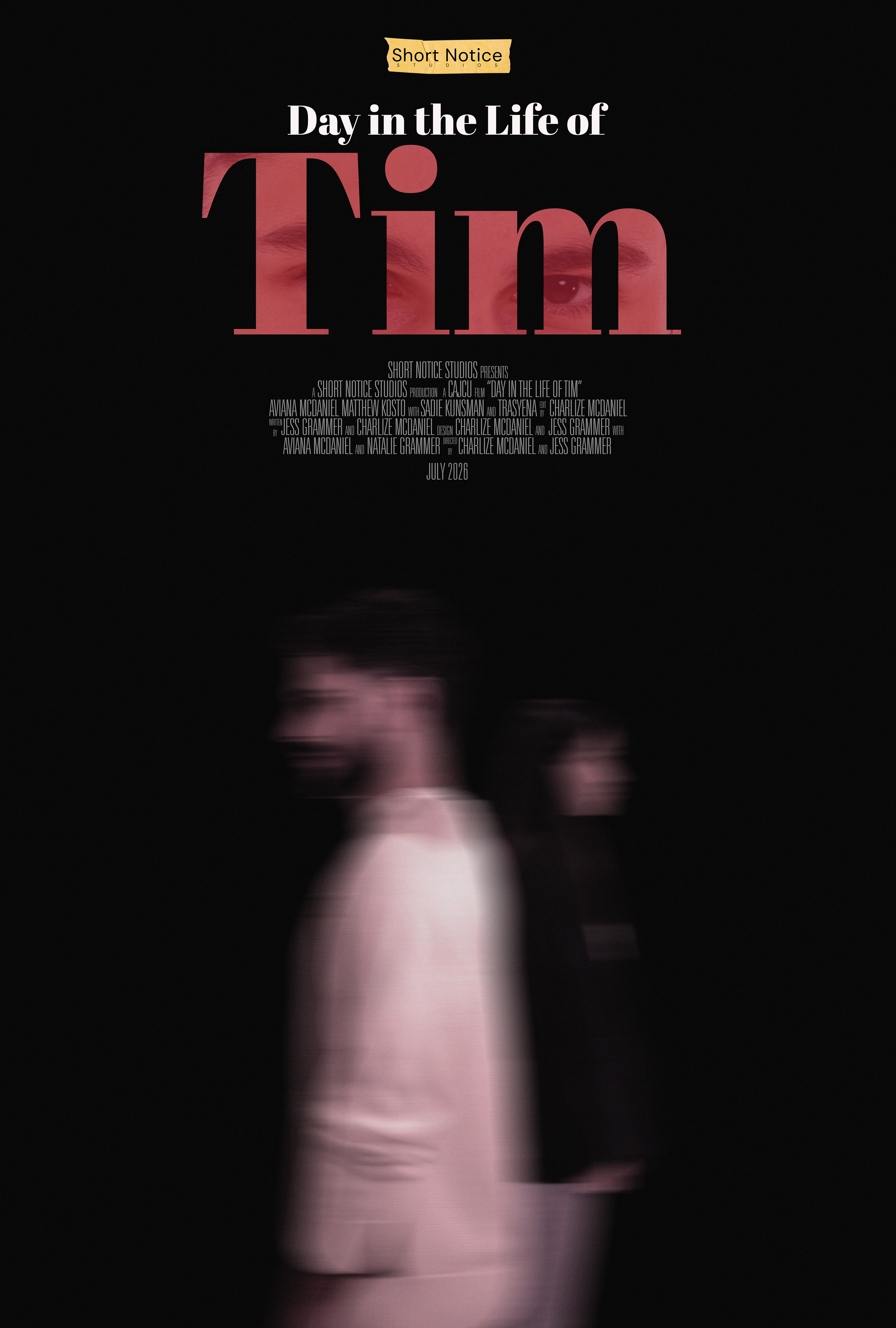 Day in Life of Tim Poster